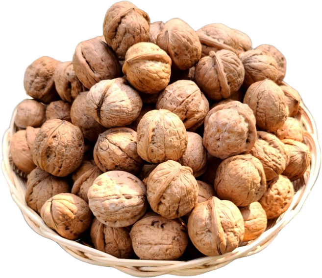 경북용성 고소한 국산 견과류 호두 (호두까기 미포함), 1박스, 중 2kg