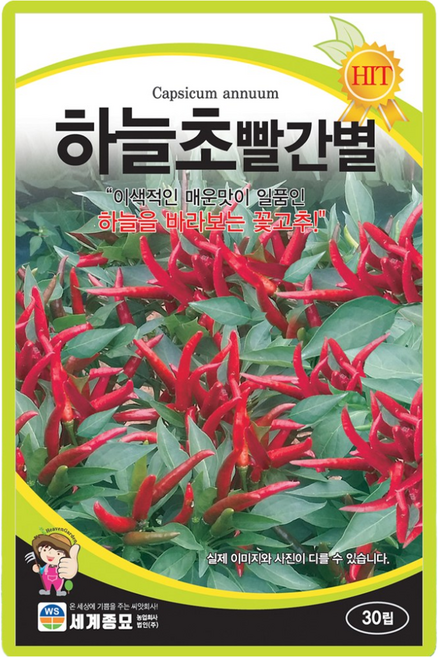 세계종묘 하늘초빨간별 씨앗 30립 매운맛 꽃고추씨 이색고추 종자, 1개