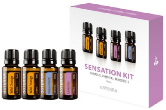 도테라 센세이션키트 페퍼민트1 라벤더1오렌지2 각5ml 1세트, 1개
