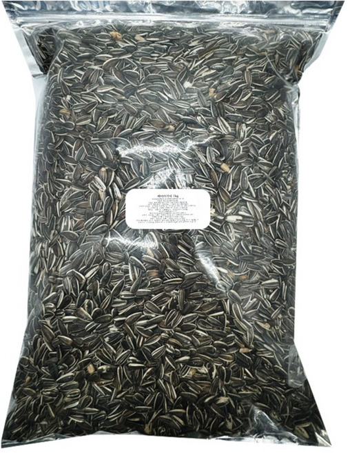 러브펫 햄스터 앵무새 소동물 해바라기씨 알크기 상 상품, 1개, 5kg