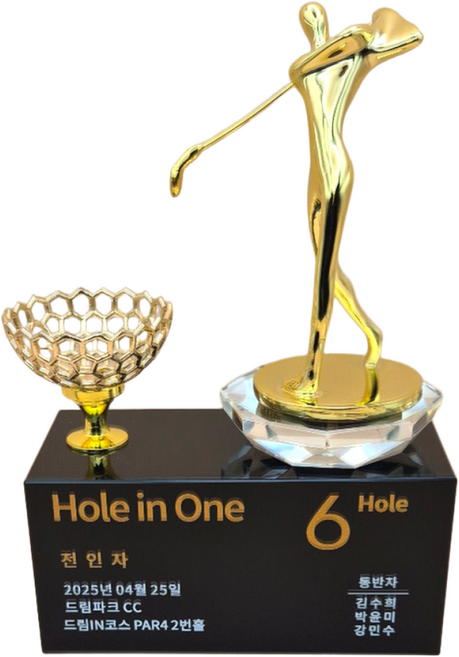 상패팡팡 골프트로피 홀인원트로피 싱글패 이글패 홀인원기념패 홀인원패022, 1개, 골드