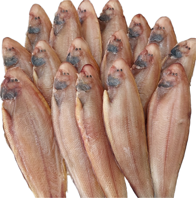 여수 반건조 서대 특대 34cm 내외 3마리 600g 이상 국내산 와사비 믹스 간장 증정, 3개, 200g