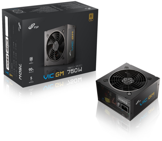 FSP VIC GM 80PLUS 골드 풀모듈러 ATX3.1 파워서플라이 PC 컴퓨터 파워, 750W