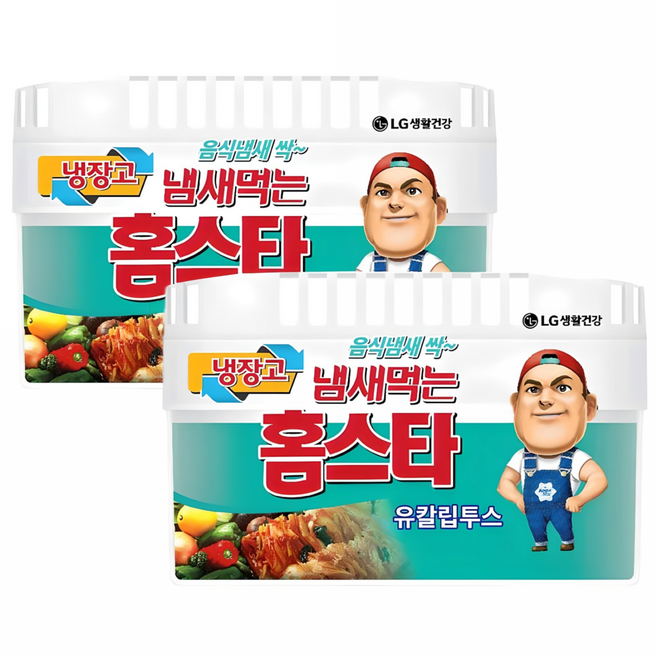 홈스타 냄새먹는 냉장고용 탈취제 유칼립투스 본품, 420g, 2개