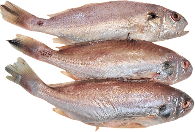 국내산손질백조기(중 대 특대 판매), 특대 2마리당(손질후 300g이상), 300g 이상, 1세트