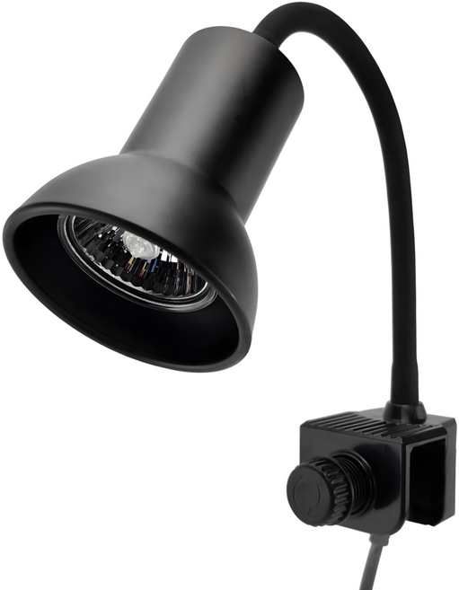 모비딕 안핑크 파충류 조명 S, 블랙, 1개