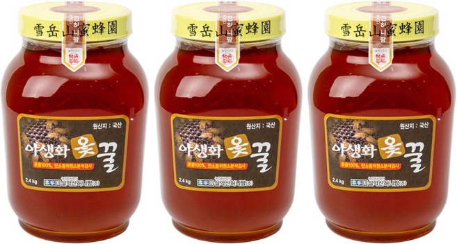 설악산허니팜 꽃꿀100% 야생화옻꿀, 2.4kg, 3개