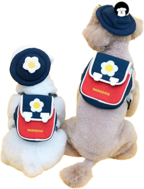 패리스독 아카데미백팩 강아지 하네스 백팩세트 (모자포함) [사이즈SM.LXL], 1개