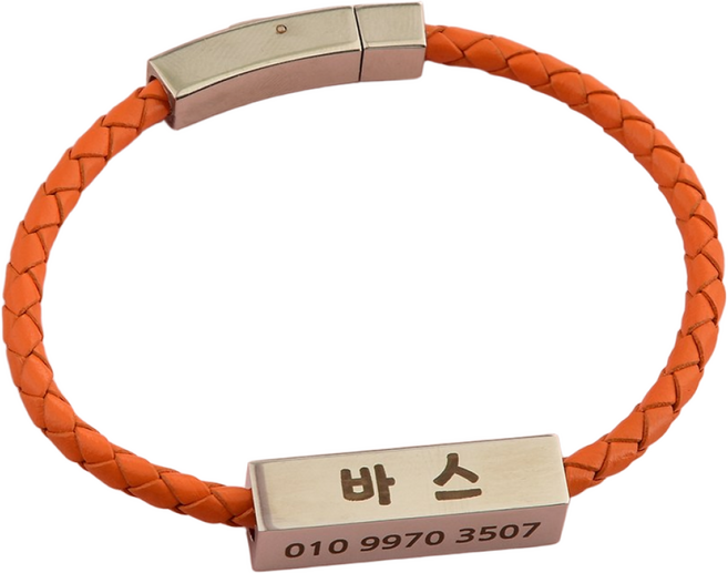 사각써지컬네임텍 가죽줄 강아지목걸이 고양이목걸이 4면각인 이름표 소형 중형, 오렌지, 1개