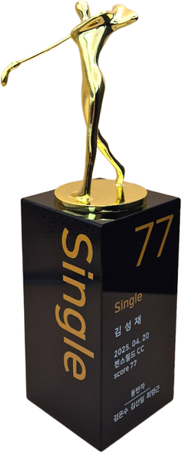 상패팡팡 골프트로피 홀인원트로피 싱글패 이글패 홀인원기념패 홀인원패034, 1개, 골드