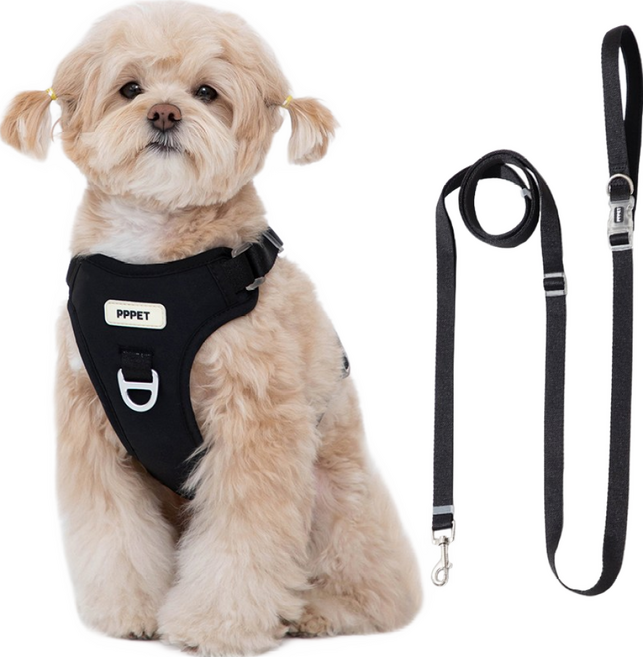펫펫펫 강아지 하네스 + 리드줄 세트, 블랙, 1