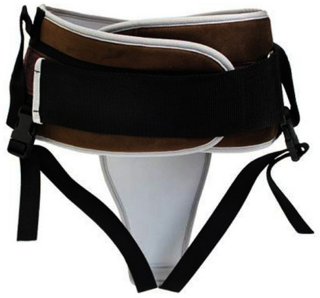 이화 New 고급형 환자워킹벨트 환자이동벨트 허리견인벨트 EW-002, 1개