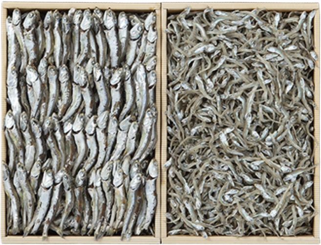 [10+1][멸치원]통영특산품 건어물 종합세트 2종 3호 - 대멸350g+소멸350g, 1개