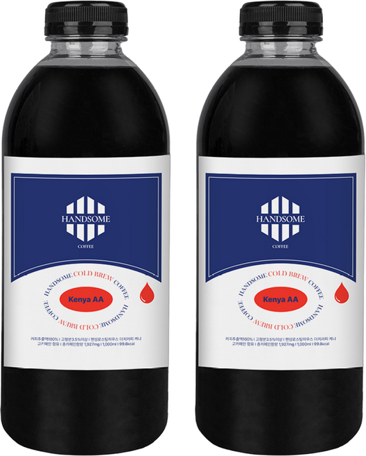 핸섬로스팅하우스 더치커피 1L+1L 케냐AA 콜드브루원액, 2개, 1개입, 1L