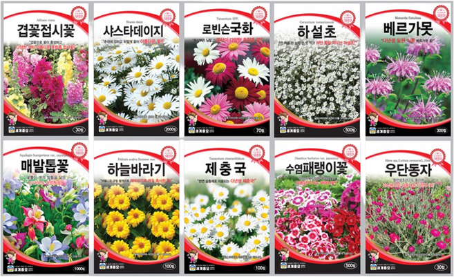 모칸도 다년생 꽃씨앗 10종 모음A 다년생 꽃씨앗 노지 월동 야생화 씨앗 봄 가을 파종 꽃씨, 1개