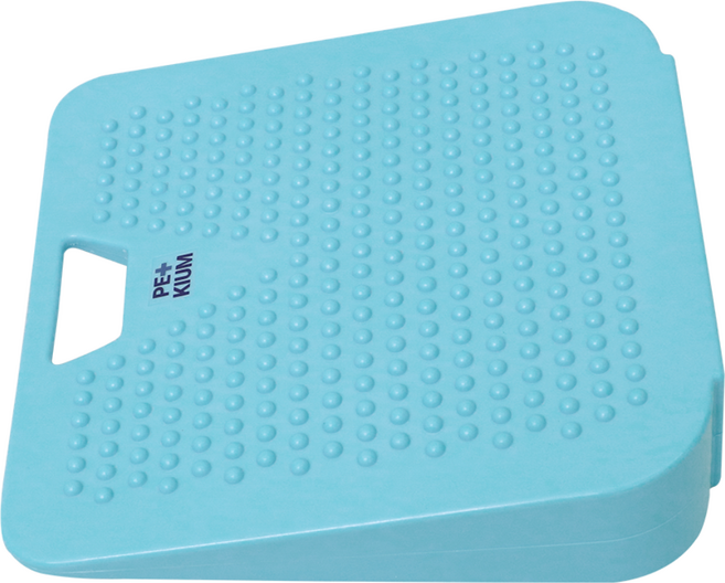 페키움 강아지 밸런스 램프 피트니스 운동기구 슬개골 탈구 예방, 1개, 스카이블루