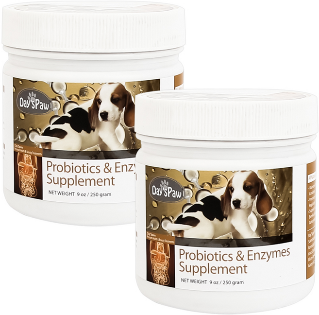 데이스포 강아지 에이치시리즈 영양제, 장건강/유산균, 250g, 2개