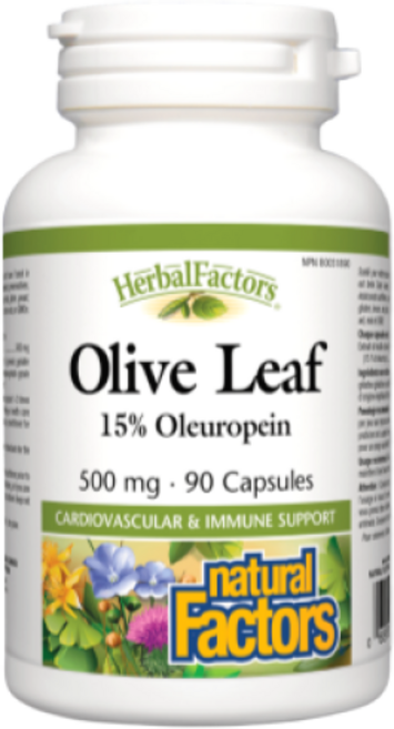 올리브잎 추출물 500mg 90캡슐 올러유러핀 15% 함유 네추럴 팩터스 캐나다 직구, 1개