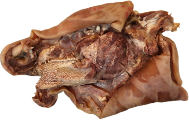 한우 삶은소머리고기 한마리 6.7kg 우설포함 완벽손질 소머리수육 소머리국밥 소머리곰탕 머릿고기, 1개