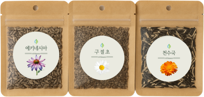 베라노그린 구절초 천수국 에키네시아 씨앗 3종 세트 3천립이상 10평 파종 노지직파 플라워 테라피 종자 꽃씨, 1개