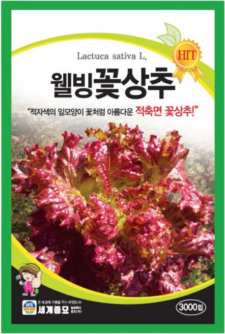 웰빙꽃상추 3000립 / 상추씨앗 쌈채소씨앗 텃밭가꾸기 베란다화단가꾸기, 1개