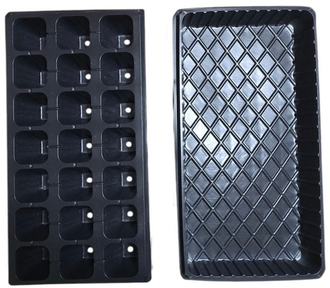 파주큰사위 튼튼한 21구 모종 트레이 파종 삽목 21공, 검정, 100개