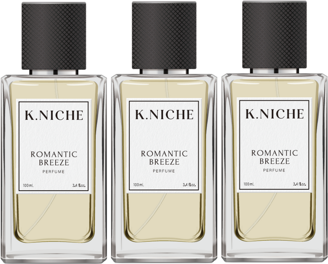 케이니치 로멘틱브리즈 남자 여자 향수 오드퍼퓸, 100ml, 3개