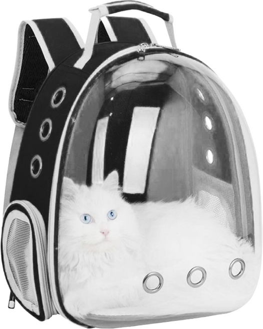 우아지오 반려동물 투명 외출가방 우주선 백팩, 1개, 블랙