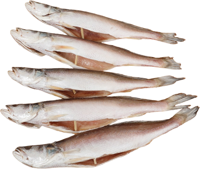 자갈치닷컴 반건조 민어조기 (뾰조기) 손질생선, 반건조민어조기 (뾰조기) 2P 35~37cm, 3개