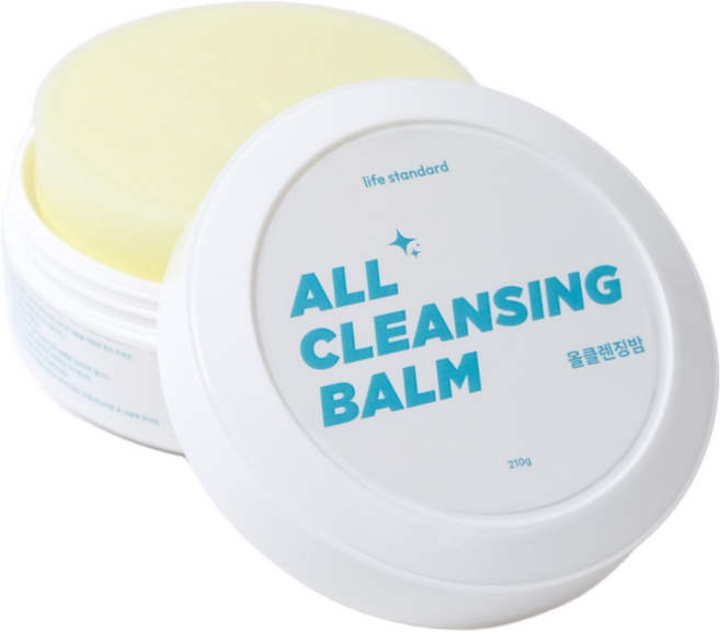 라이프스탠다드 신발클리너, 1개, 210g