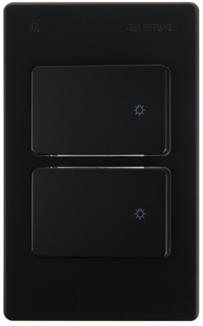 진흥전기 V시리즈 블랙 단로 2구스위치, 1개