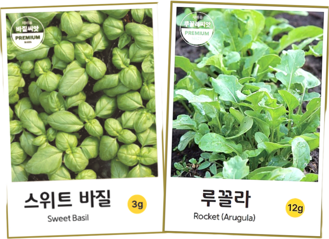 허브씨앗 스위트 바질 루꼴라 씨앗 종자 바실 키우기 basil arugula, 1개