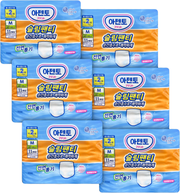 아텐토 슬림팬티 성인용 기저귀, 중형, 6개, 11개입
