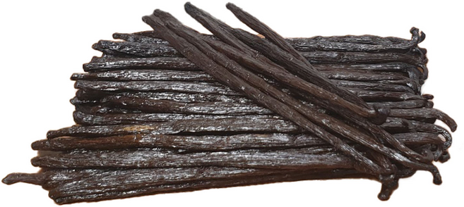 한결농장 마다가스카르 바닐라빈, 25g, 1개