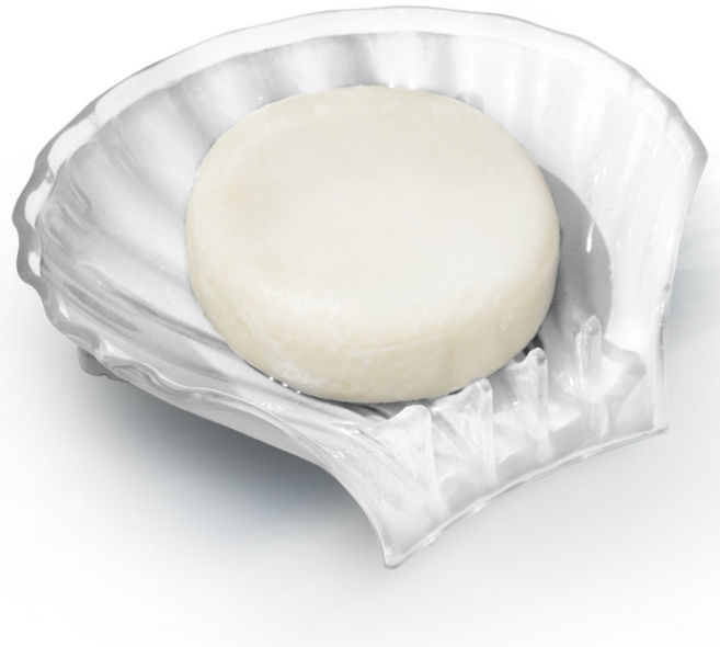 오브제팜 물빠짐 조개 비누받침대 비누거치대 케이스, 1개, 화이트