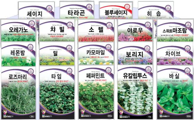 허브씨앗 모음 허브씨 바질 로즈마리 라벤더 딜 레몬밤 페퍼민트 캐모마일 타임 세이지, 23. 스위트바실 500립, 1개