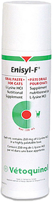 고양이 엘라이신 아미노산 영양제 베토퀴놀 애니실F 헤르페스 허피스 면역 증강제 100ml, 1개