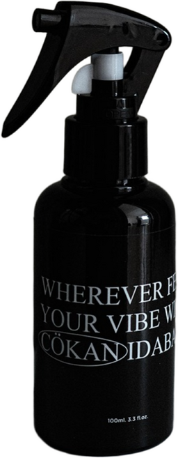 코칸 섬유탈취제 룸스프레이 이다바시, 1개, 100ml