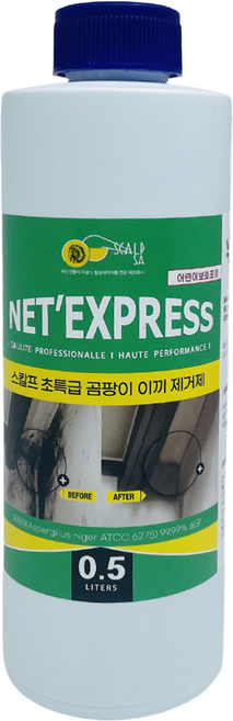 스칼프 세척항균 곰팡이제거제, 1개, 300ml