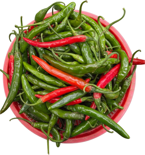 못난이 청양고추 홍고추 매운고추 땡초 혼합 1kg 5kg, 청양혼합 1kg, 1개, 특품-1kg