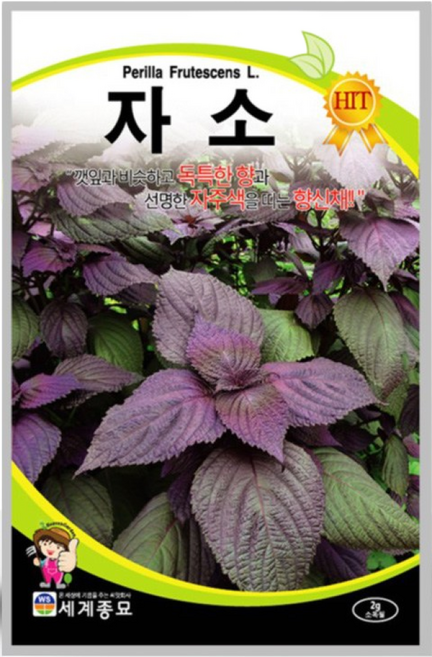 자소씨앗 2g 자소 차조기 자소엽 향신채 산약초 씨앗, 1개