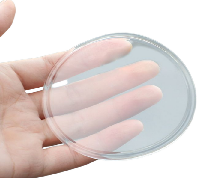 새로이온 차량용 다용도 논슬립 패드 20P, 투명, 20개