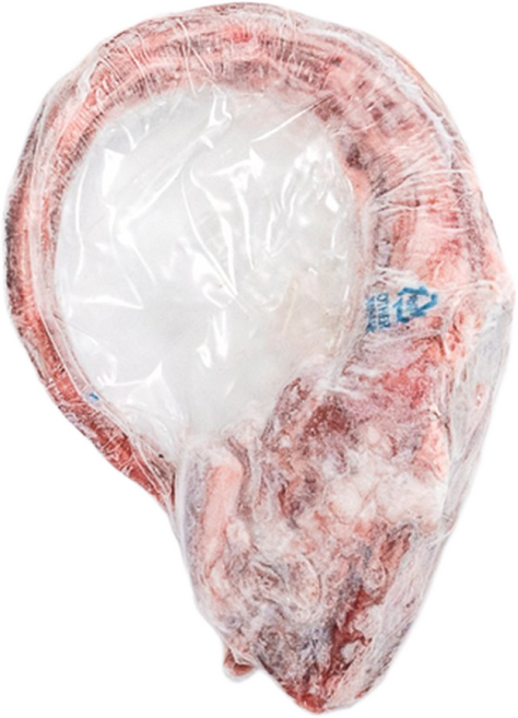 고기생각 국내산 한우 소꼬리 1벌 냉동 1kg 내외 곰거리 곰국, 5개