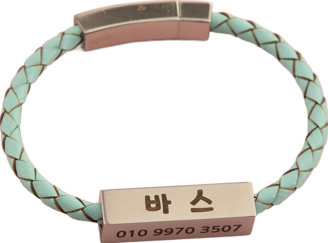 사각써지컬네임텍 가죽줄 강아지목걸이 고양이목걸이 4면각인 이름표 소형 중형, 빈티지민트, 1개