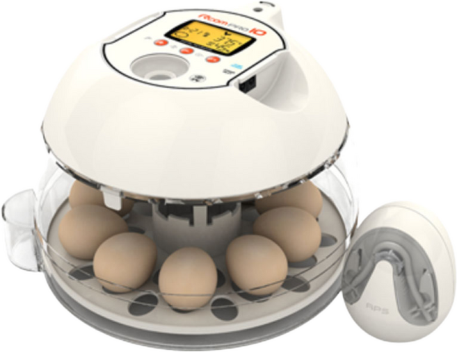 홈우리 알콤10 프로 플러스, 1개