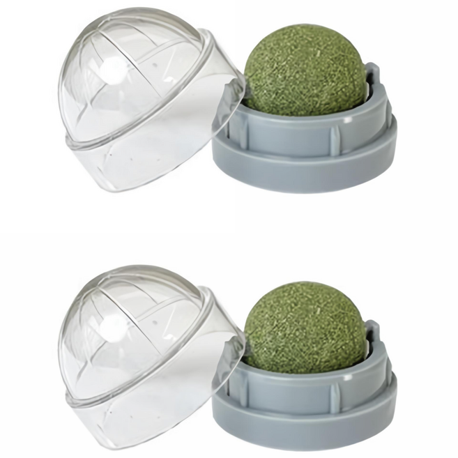 미스터추추 고양이 볼 2p, 캣닢, 50g, 1개