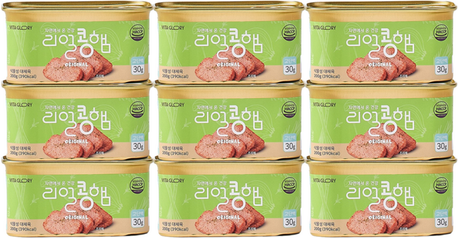 쫄깃탱글 저속노화 리얼콩햄 100% 식물성 고단백 비건햄, 9개, 200g