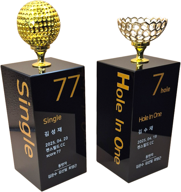 상패팡팡 골프트로피 홀인원트로피 싱글패 이글패 홀인원기념패 홀인원패035, 1개, 골드