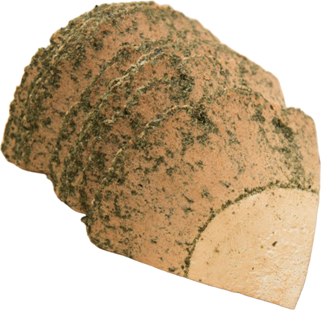 경성제과 부채센베이, 900g, 1개