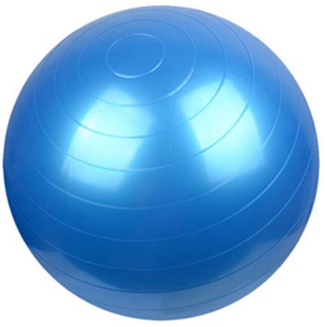 스포홀릭 다이어트 짐볼 + 펌프, 블루